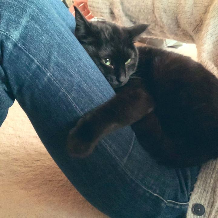 Cb36bb9e 8009 4b8b bfc1 a1d1d8820d64 1552034856269