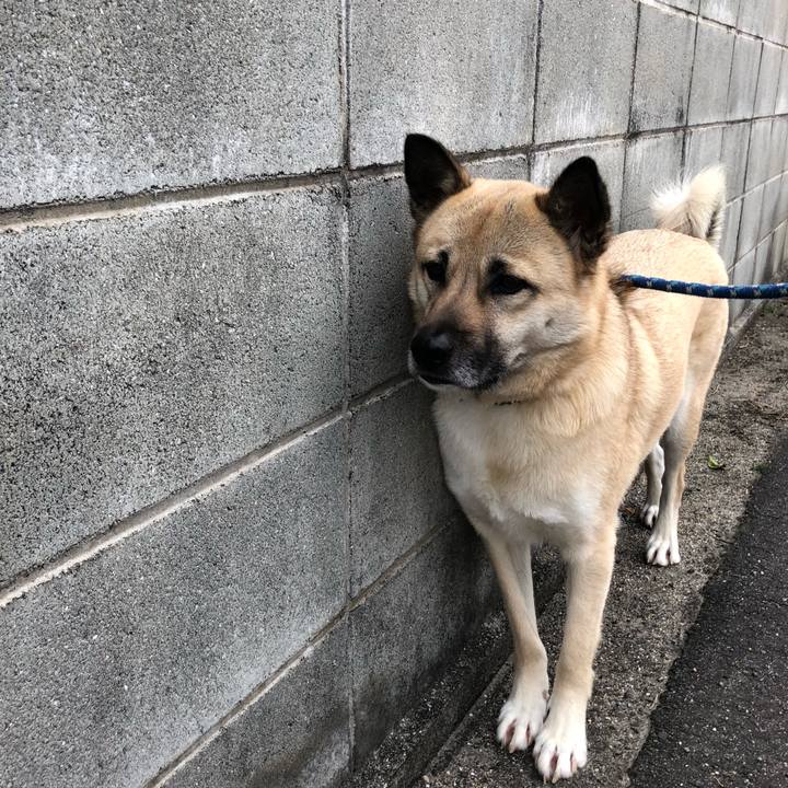 Cb36df64 0c26 4a0f 8c0a 3b62a05a84f4 1553257621880