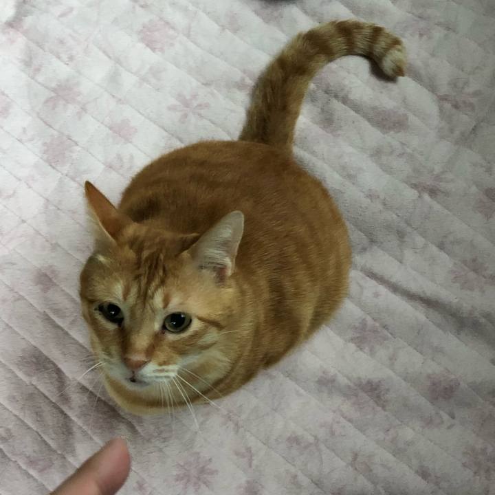 Cb36f81d f670 4f09 8766 c585eb285bdf 1562924611979