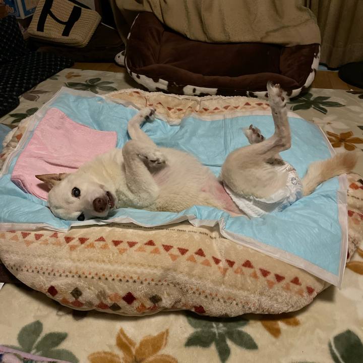 Cb37199c 6404 43d0 8121 36a256b1f4c6 1669304337695