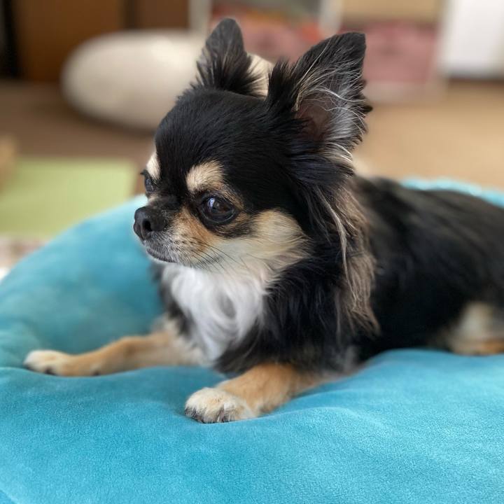 Cb373023 df58 467b 824c 8e1f66e69020 1633160869694