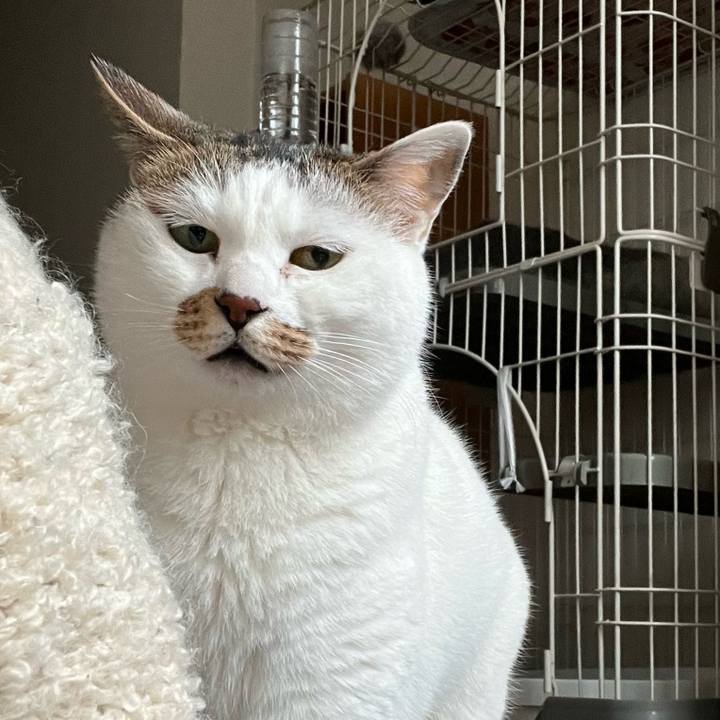 Cb381e24 3ae4 4347 a888 f737bbf34727 1680004883415