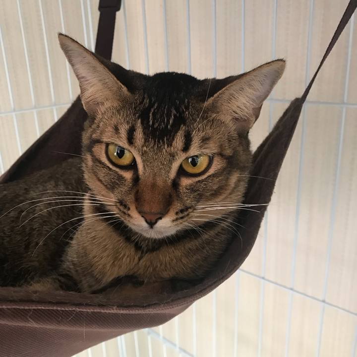 Cb385906 7681 452e 8dbb 94cbad318377 1550274564577