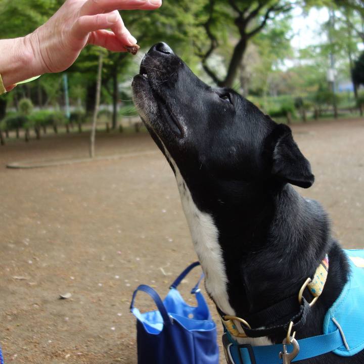 Cb38988e 095a 41df 9cf3 00b3fb107988 1617754784206