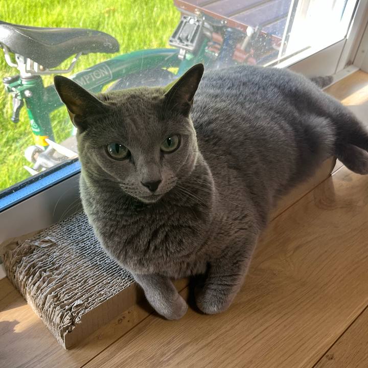 Cb38d135 a733 4f6e 8bc6 58248e3937c7 1760166509440