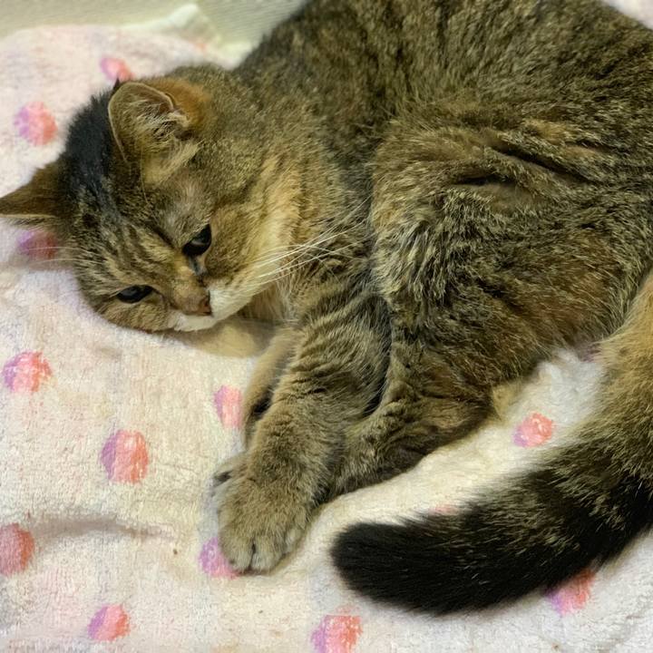 Cb38f4c5 cf90 4459 97f3 1562cb01102a 1604364144064