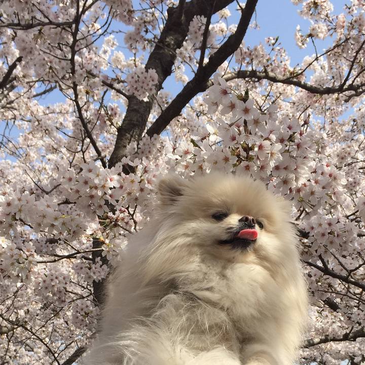 Cb38fde9 5e7d 4438 a041 1b7386371626 1522458901753