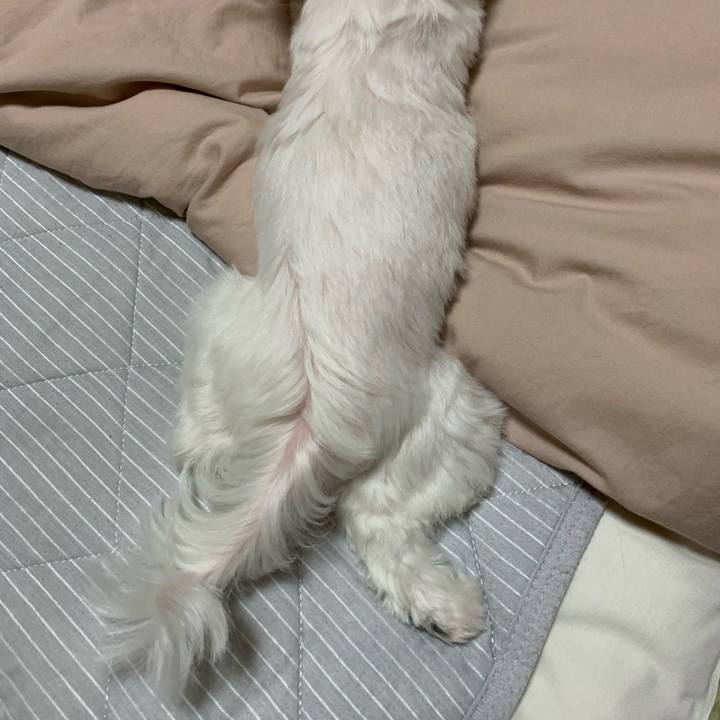 Cb392cad e052 48af a2a0 3caf52ef2c9b 1664706224674