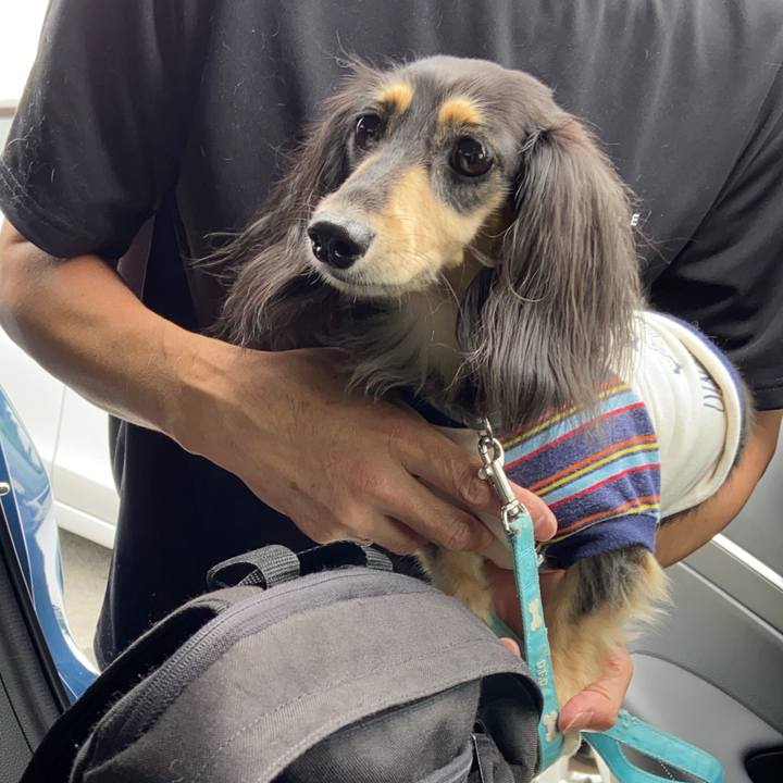 Cb394cb3 26b8 40d5 9811 d0f572d3114a 1757984957093