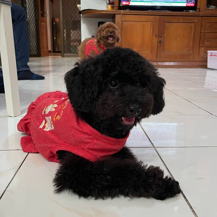 Cb396804 75f5 48c1 8852 163a0135e090 1771313039657