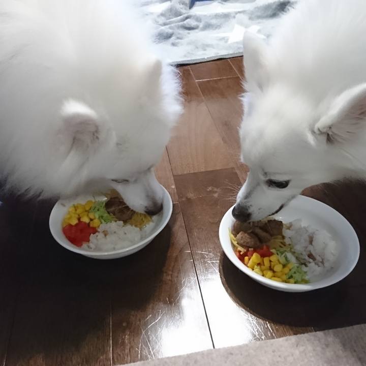 Cb396b7d a7a3 4c07 b738 325145eabee2 1583663918970