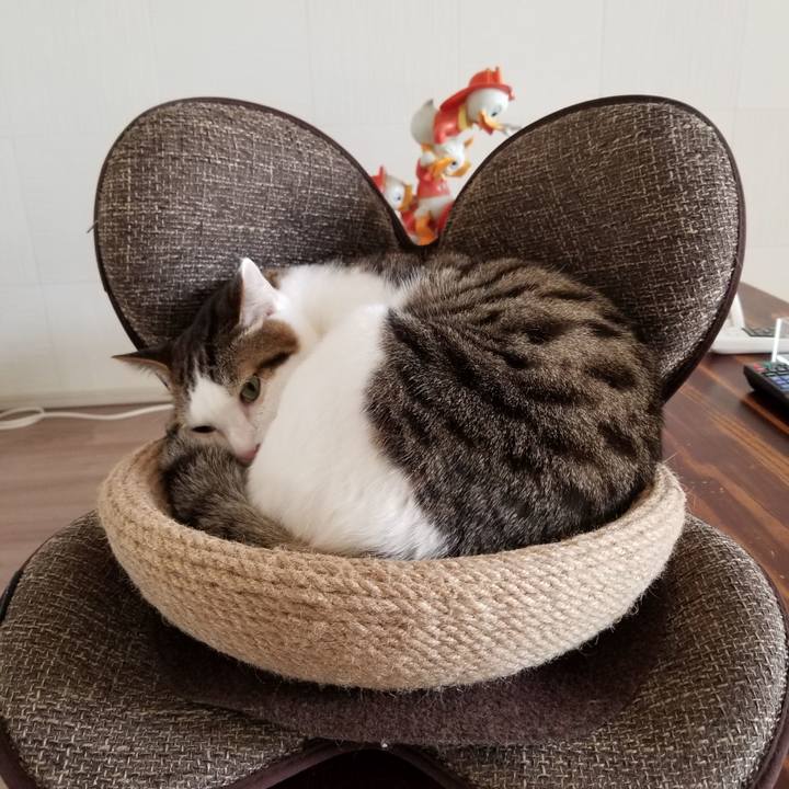 Cb39b29b 4fbb 4bed 8d3e c1e37c8ec718 1614384816950