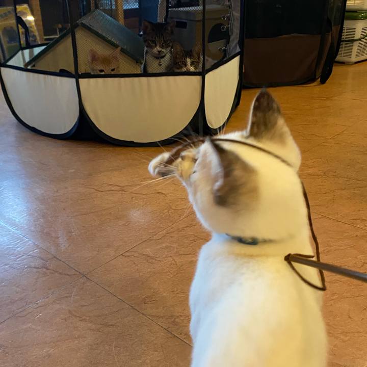 Cb39db7f b27f 4f81 b300 ef60f7c7ec8d 1632906330501