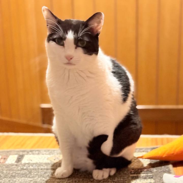 Cb39e6e8 2591 4b1d a8f7 e00bfa790902 1764898640114