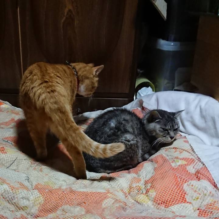 Cb3a1d54 5617 4931 a15c 7d0a871be5db 1570973635566