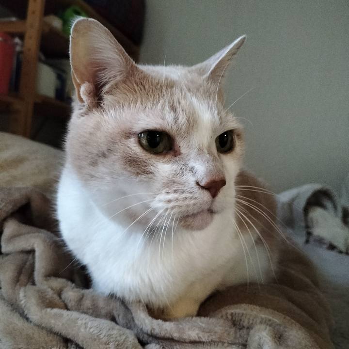 Cb3a2f1c ee09 498d b0c3 7327d46131d8 1643582868749