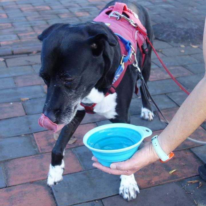 Cb3a41e7 4c53 4684 b7e1 08c82d903c50 1694305927774