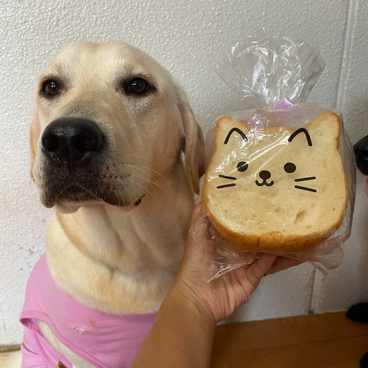 Cb3a4578 364f 45dd 8ef8 6a5f1fdd71d5 1631169283069