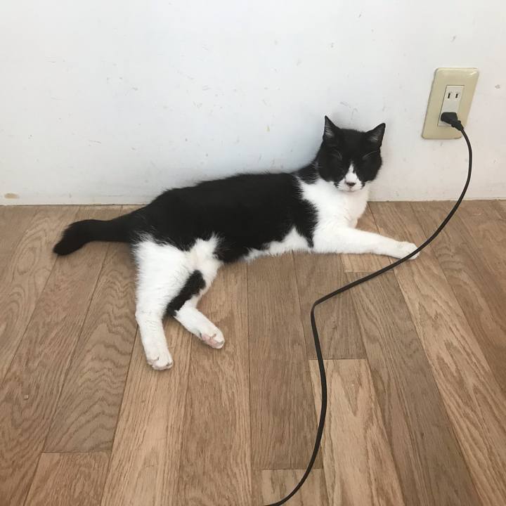 Cb3a8d75 914a 4b2f 82bb 13ee12f9cc6d 1570421955450