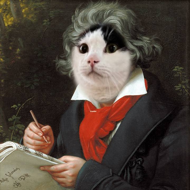 Cb3a9f8b 2b8e 4a61 8a51 dde1df02650b 1635677560451