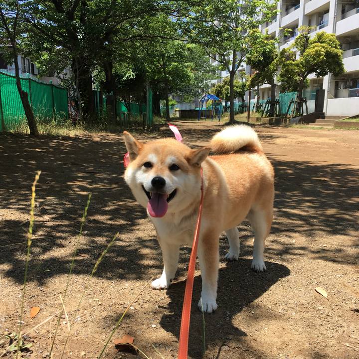 Cb3a9fda a759 49a2 b30c 465d46e325ef 1560395002190