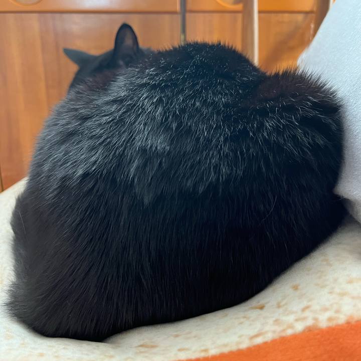 Cb3aa5e9 b541 479f 9a97 062a01a8f50e 1678757017229