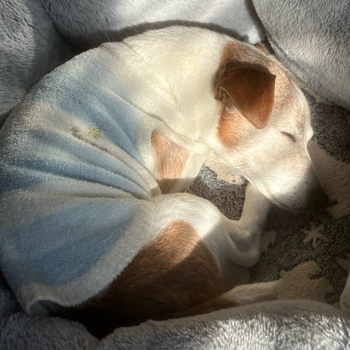 Cb3b0fb8 e409 42f0 b3ac 48e5dbb76e3c 1767593284679