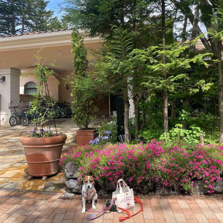 Cb3b2e7d d808 4d77 bc34 6ab1d0bc9b6c 1747813159811