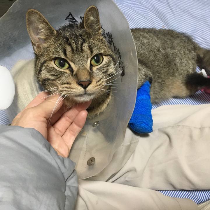 Cb3b31f5 db23 4634 b707 598df219009c 1576747065100