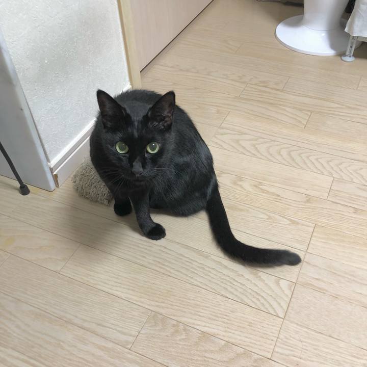 Cb3b6108 2149 42da 931b d4c1c3f46402 1634477343551