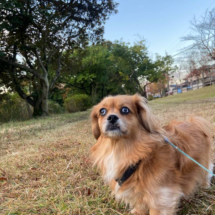 Cb3b6ebb 2fa2 42c6 a3ec 18529e5be9cf 1605219635692