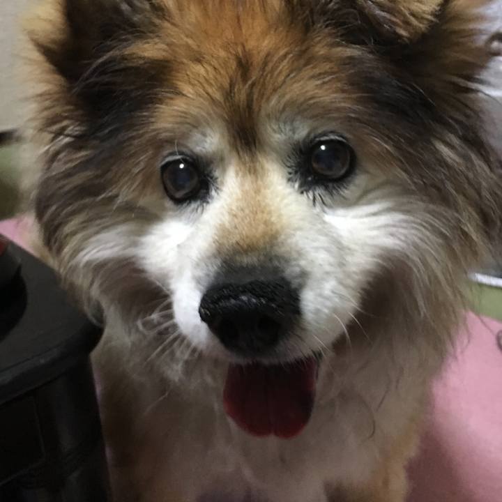 Cb3b8742 5a7e 4f77 be91 26d56d374a1a 1576063582343