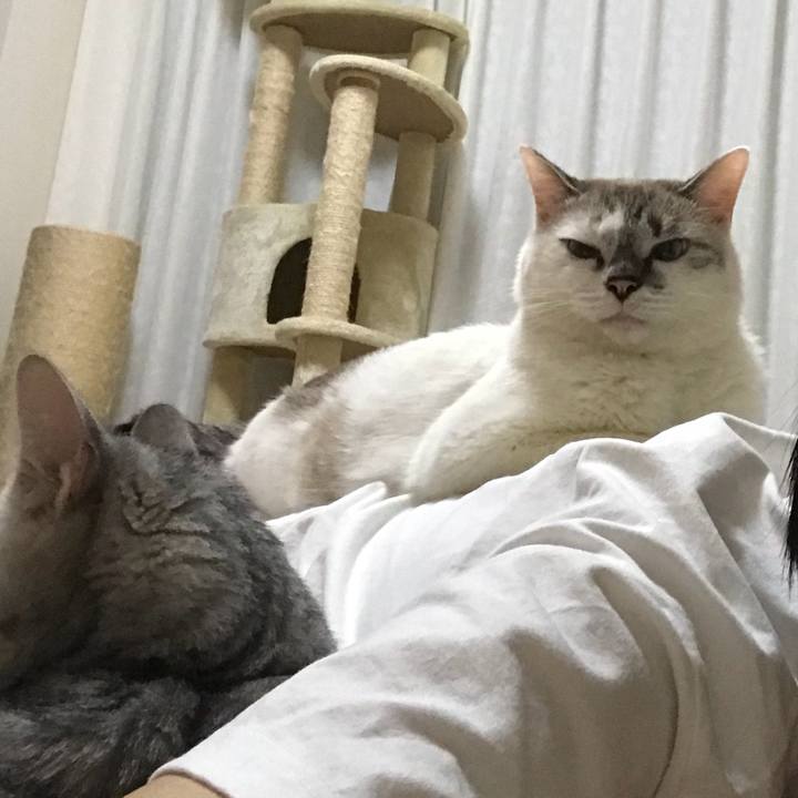 Cb3b8919 58e4 4f1e 8f83 2c422c56c979 1537702826091