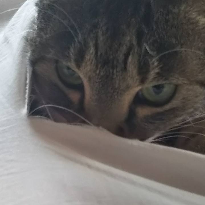 Cb3ba0ca afc5 4781 946c 2002683dc2ff 1603590045373