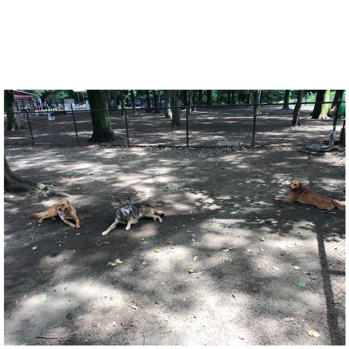 Cb3bbc89 a2e6 41b3 8992 fa1cf6164721 1532839347693