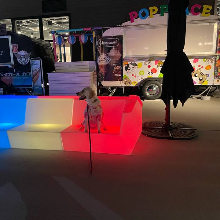 Cb3bd502 ed48 4aeb a173 c6e34729374f 1654395326502