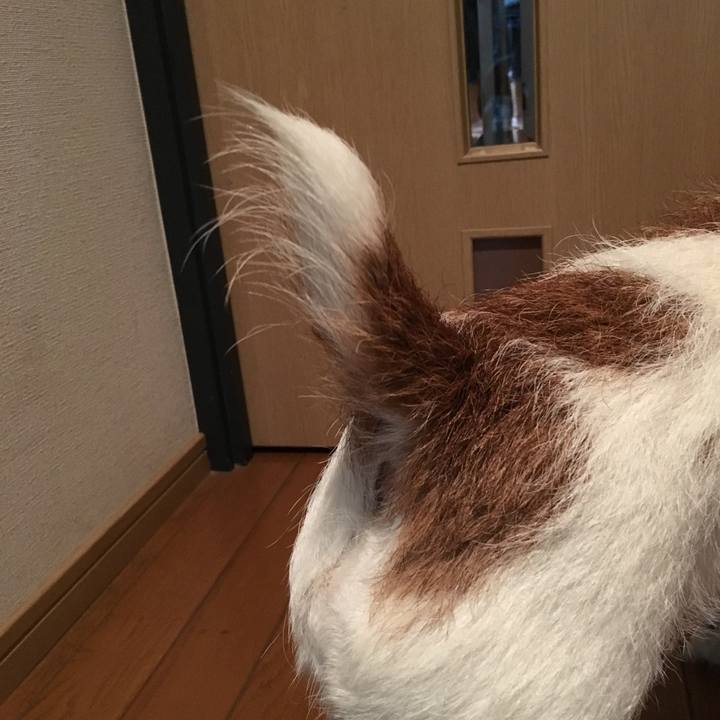 Cb3c29ef 5e49 462e b8f5 9c65e5b233ae 1571025052643