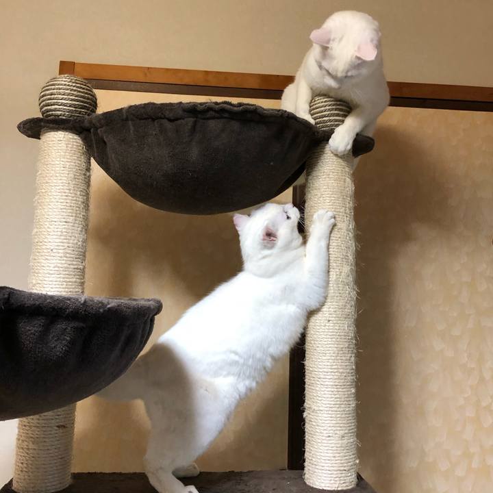 Cb3c5457 6508 4fa6 a211 73b997b0685b 1550899334878