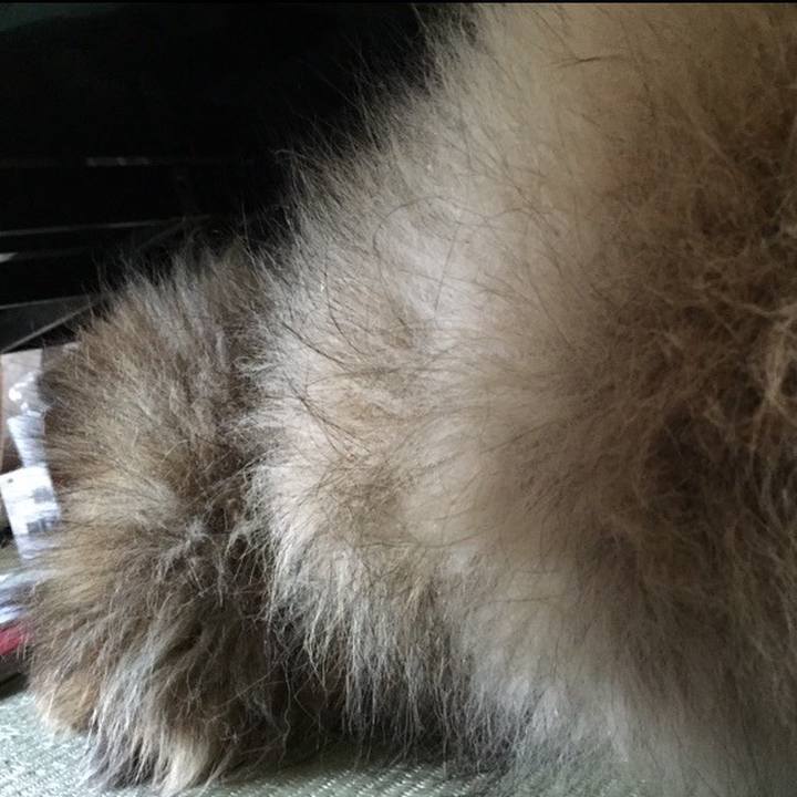 Cb3c72d2 d514 400b a660 46a6be90d5de 1612633217756