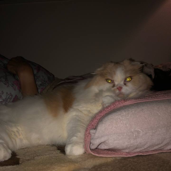 Cb3c8503 f476 46d1 89f6 83645ffd98ad 1689167258291