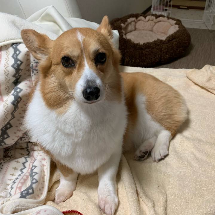 Cb3ca973 10a8 4070 be13 8be4fb2e07c8 1587180534230