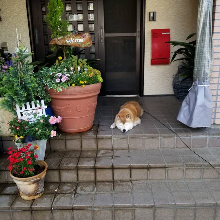 Cb3cd941 33e6 457b ac20 6d231531afe5 1718146201013