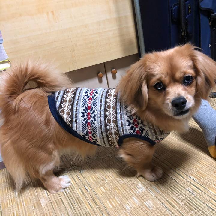 Cb3cf718 8d7c 48da a150 716d3c1b99fb 1517059438723