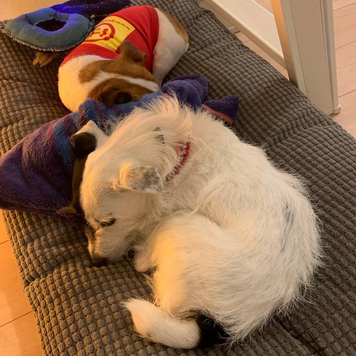 Cb3d2060 d4a8 4453 bde0 acbd3d610348 1557236685168