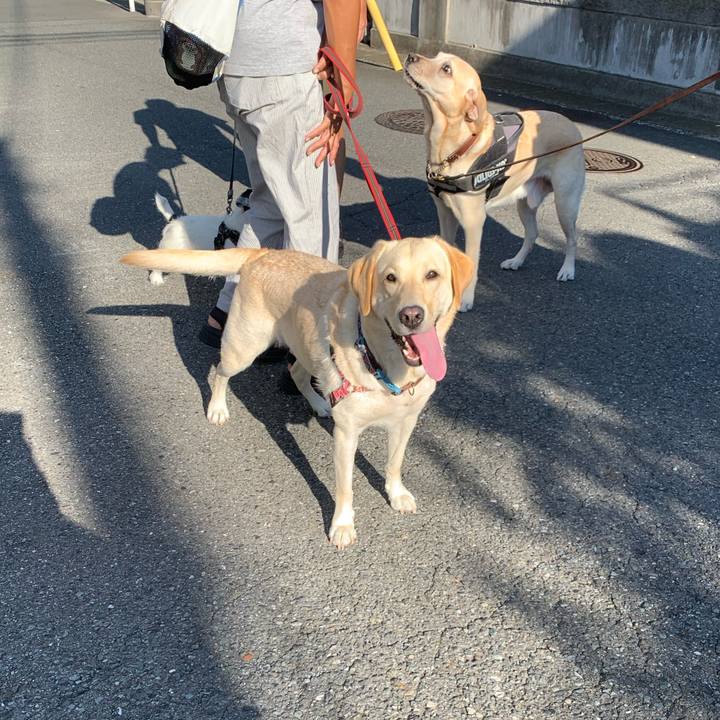 Cb3d3f9e 522e 40e0 b2f9 d05413e90c59 1727824758725