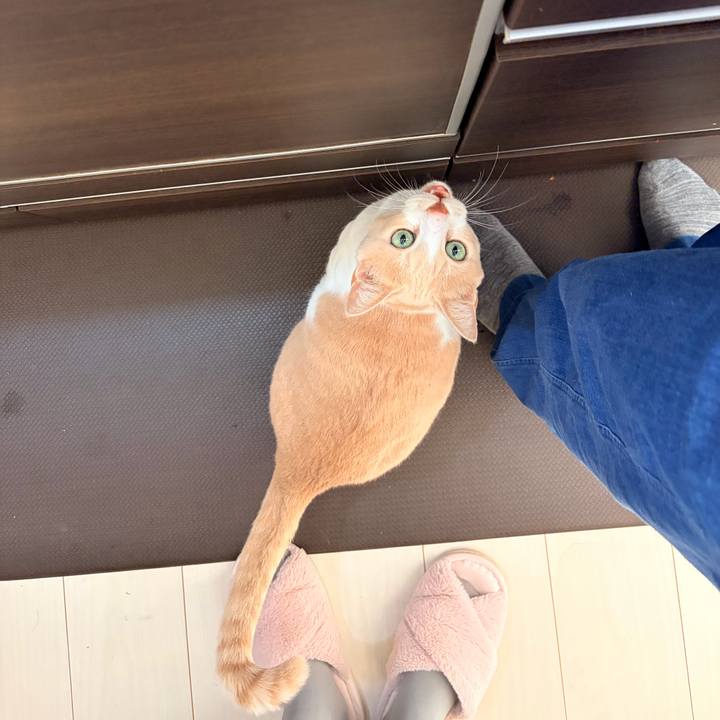 Cb3d5da5 9f04 44ae afb5 5ced75b02d44 1763282631270