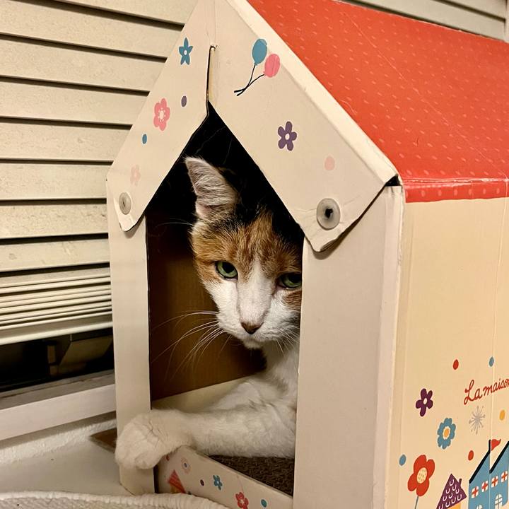 Cb3ddfc0 4510 4a8a 8d12 9afe51889327 1692194929687