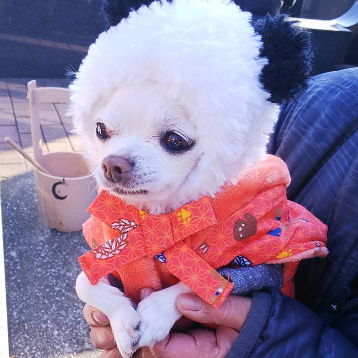 Cb3df80a 16a5 4b5b bd29 9ec4e5c3f427 1514535285373