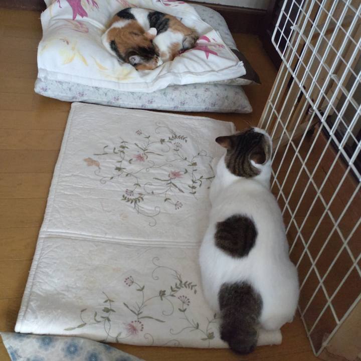 Cb3e29a7 a57e 4065 aa53 11e386ee1c01 1672457280922