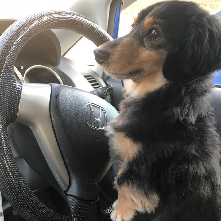 Cb3e5eca 9335 4623 b5f1 1779075876ef 1512275872369